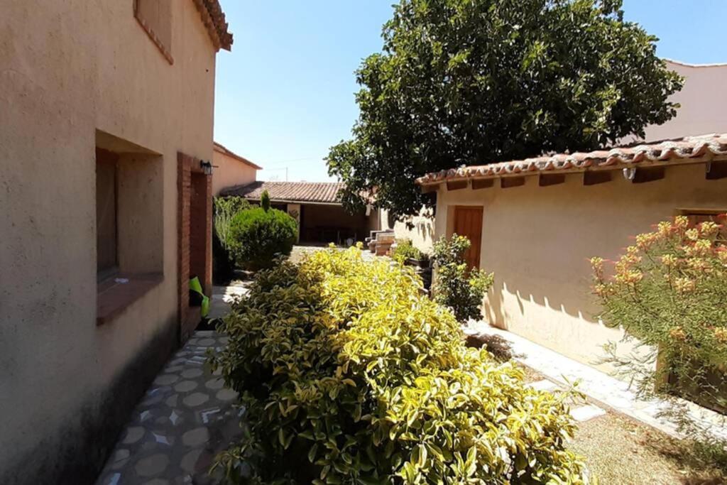 Casa Rural La Paloma - Zamora Манганесес-де-ла-Лампреана Экстерьер фото